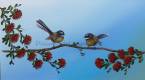 Fantail n discussion - 50cmx30cm