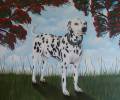 Otto - 80cmx60cm