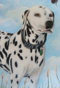 Otto Close up