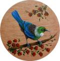 Tui in Pohutukawa - 20cm