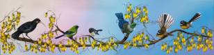 Huia, Bell bird, NZ Robin, Tui and 2 Fantail - 1.2mx40cm
