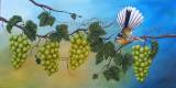 Fantail in Green Grapes - 50cmx30cm